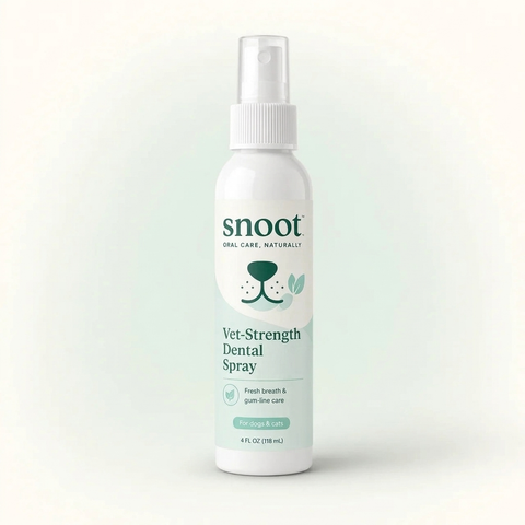 Snoot Vet-Strength Dental Spray bottle