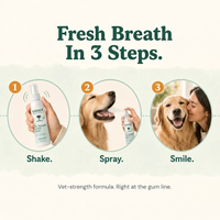 Fresh breath in 3 steps: shake, spray, smile