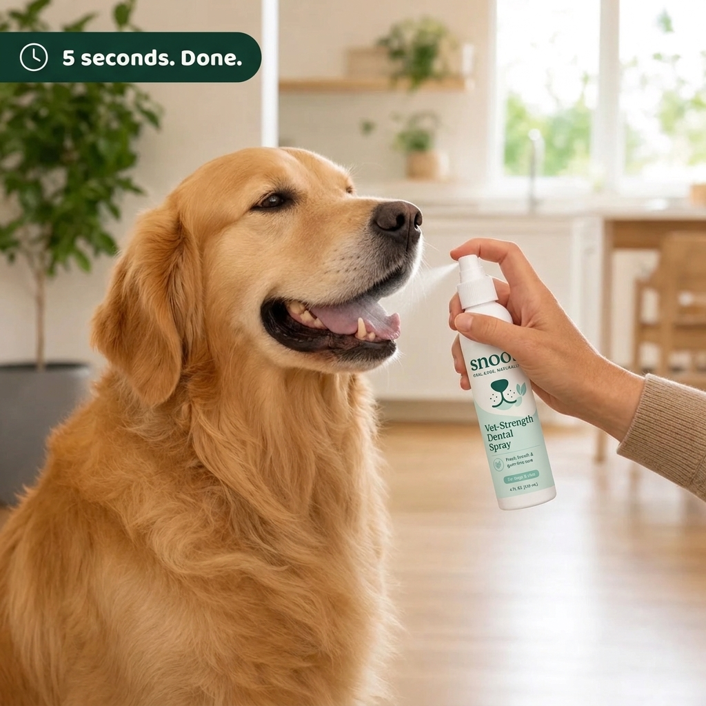 Spraying Snoot into a golden retriever's mouth in 5 seconds
