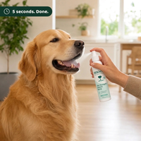 Spraying Snoot into a golden retriever's mouth in 5 seconds