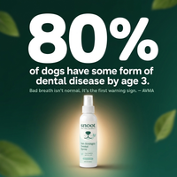 80% of dogs have dental disease by age 3