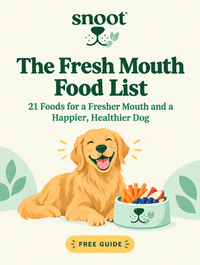The Fresh Mouth Food List ebook cover