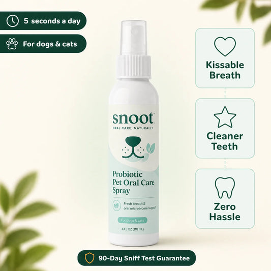 snoot probiotic dog breath spray