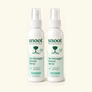 Two bottles of Snoot Vet-Strength Dental Spray