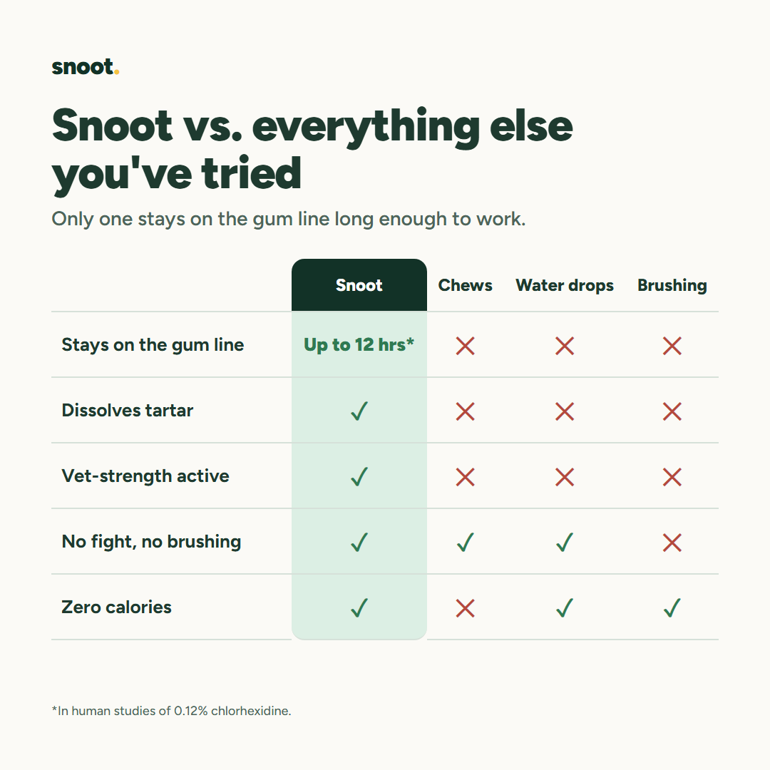 Snoot vs everything else you've tried