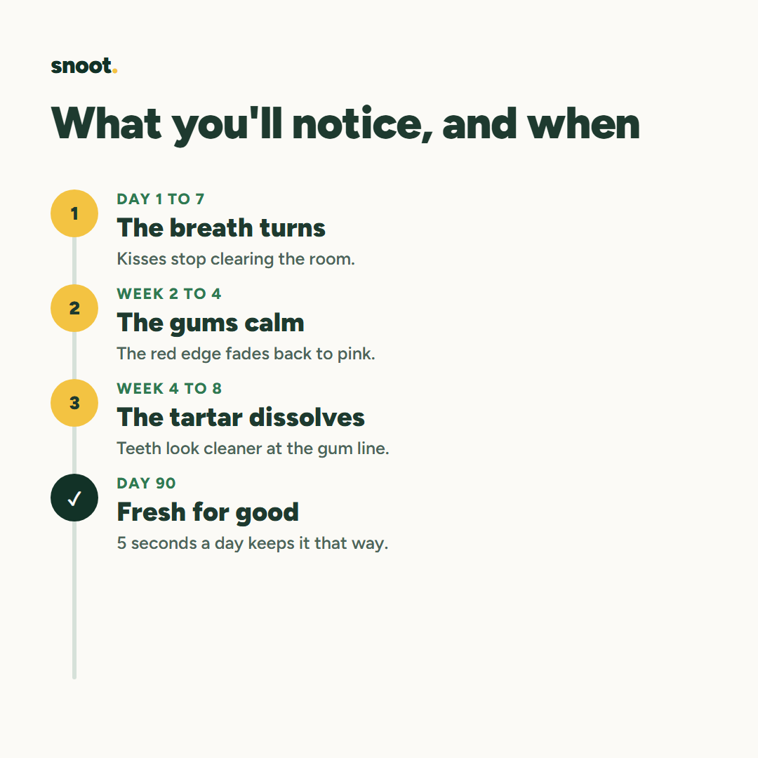 What you'll notice and when