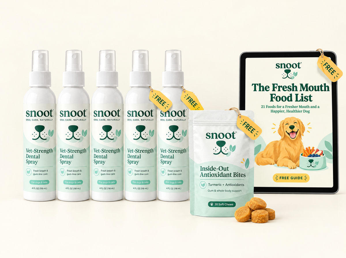 5-bottle kit with free ebook and Antioxidant Bites
