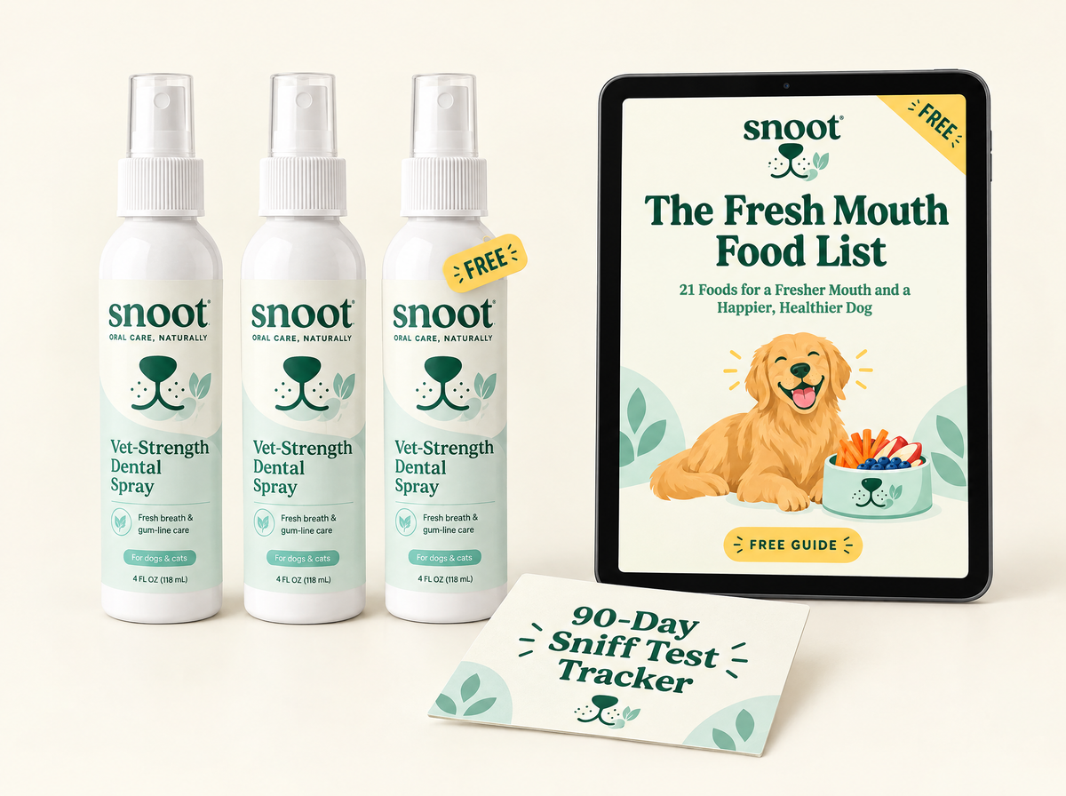 90-Day Kit with free ebook